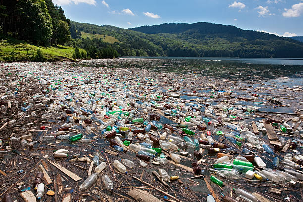 Plastique dans l'eau - toxémie
